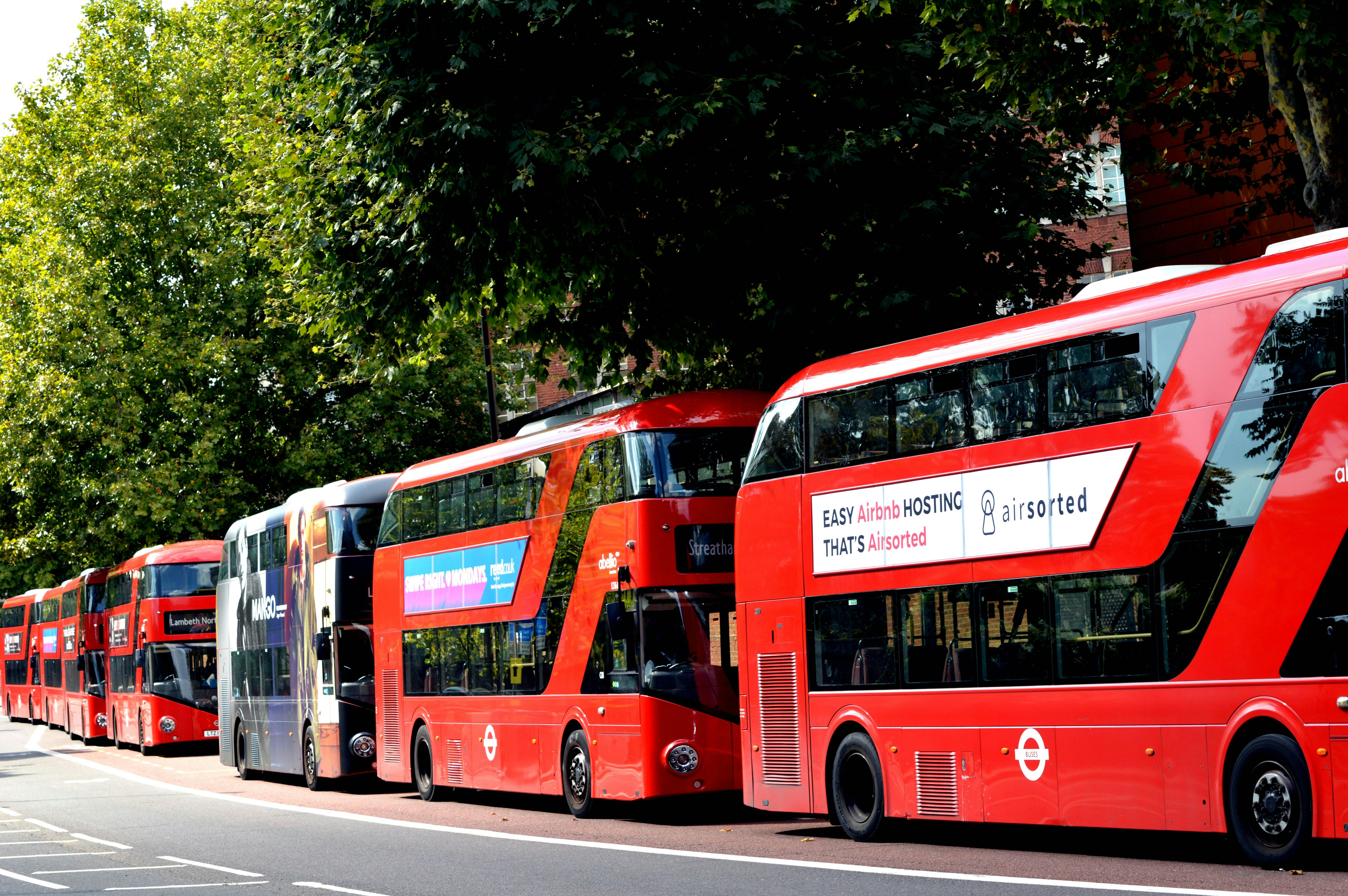 Types Of Travel Buses